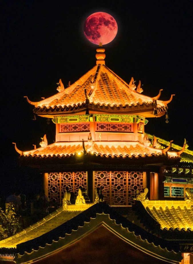 Free Website Template by Free-Template.co